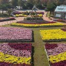 지리산허브밸리 이미지