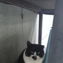 황오시당구장 이미지