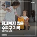 샤인 어린이집 | 16개월 수족구 초기증상부터 완치 / 39개월 형제 감염·어린이집 등원 후기