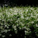 동네쉼터 이미지