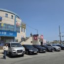 감포은정아구 이미지