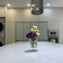 더 제니스 호텔 이미지