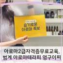08-2-1 펫코노미 창업과정 (아로마테라피) | 아로마2급자격증무료교육,범계 아로마테라피 영구이찌(온라인 아로마교육도 가능)