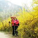 노적봉길 이미지