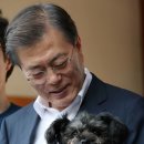 토리 이미지
