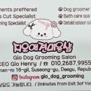 지오애견미용샵 이미지