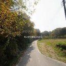 금구공인중개사사무소 이미지