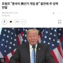 중국이 선거 개입한 나라들 이미지