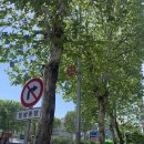 땅땅치킨세류점 | 5월 일상 두번째 기록