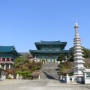 선덕사대적광전 이미지