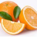 바디팩트 이미지