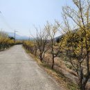 예곡마을회관 이미지