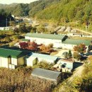 곤드레산채밥 네이버블로그