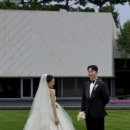 윤블레스 | 대구 인터불고·파라다이스·라테라스·호텔수성… 요즘 따끈한 웨딩 소식 총정리