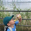 유신태권도장 이미지