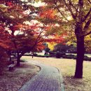 화랑대역사 | 2025 서울여자대학교 수시논술고사 후기