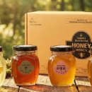 꿀사랑 양봉 이미지