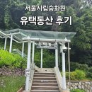 서울시립승화원 유택동산 후기｜개장묘 화장 후 자연으로 보내드린 마지막 인사