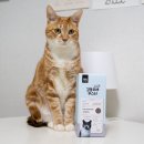 (주)제이엘씨엔티 이미지