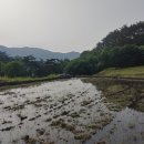 산골 논두렁 이미지