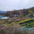 선산농장 이미지