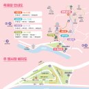 광양이야기 | 광양매화축제 2026 일정, 개화율, 주차꿀팁까지 미리 정리