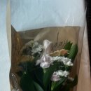 은스플라워