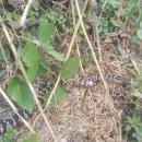 이장배농장 이미지