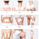 스포테라 이미지