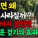 병의 90%는 걷기만 해도 낫는다 이미지