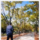 보라매 행정사 이미지