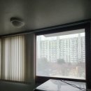 꽃뫼양지 이미지