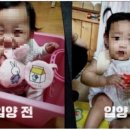 정인