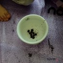 집에서 신나게 엄마표 미술놀이 커피로 놀아요 with 놀짱놀이박스