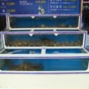섬마을조개구이