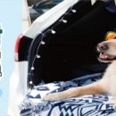 (주) 아성다이소 이미지