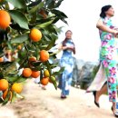 광시농장 이미지