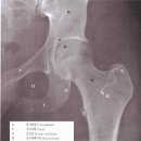 기장정형외과의원 이미지