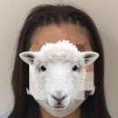 댓플라워샵 - 7678 | (강남헤어라인교정) 댓스칼프 후기 | M자 커버 고민 드디어 해결 |자연스러운 헤어교정 | Dave 데이브...