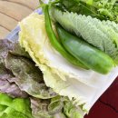 정봉자쌈밥 이미지