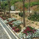 민지농장 이미지