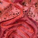 수목원레저 | 해운대수목원파크골프장 예약하기 방법 홈페이지 위치