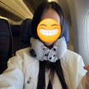 레어리스트 | 목베계의 초경량 샤넬! 셀레어 넥필로우 사용후기