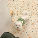 모노모노(monomono) 이미지