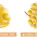 김한성성형외과 이미지