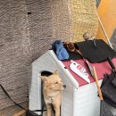 풍덕농장 | [내돈내산] 풍덕자동차학원에서 운전면허 딴 후기-1,필기-