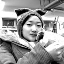 거목 통나무집 이미지