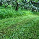 잘커농장 이미지