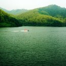 선경그린 이미지