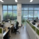 세남자오피스 이미지